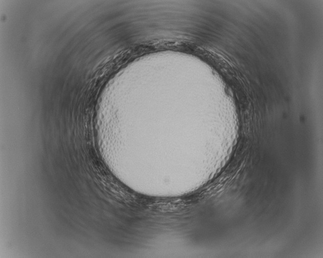 X0000068270917200605191824