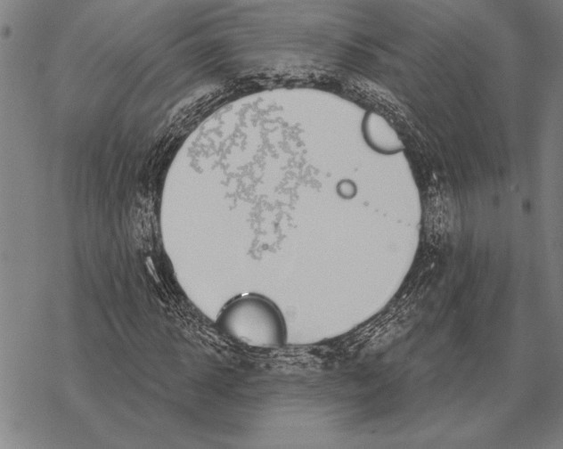 X0000068270918200605191824