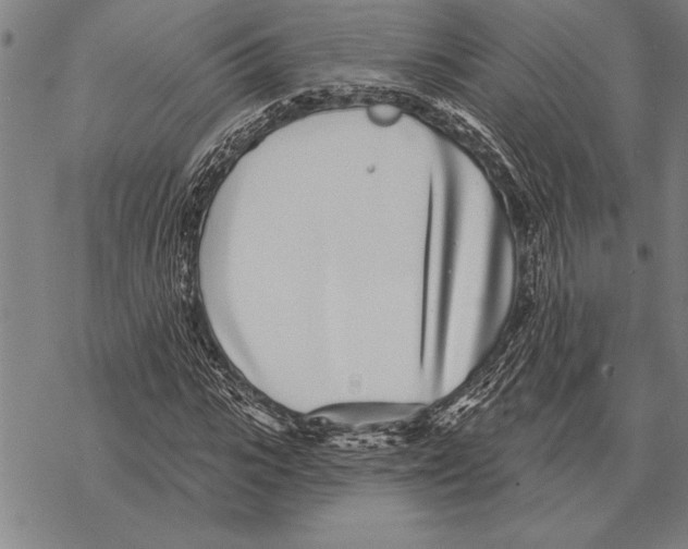 X0000068270919200605191824