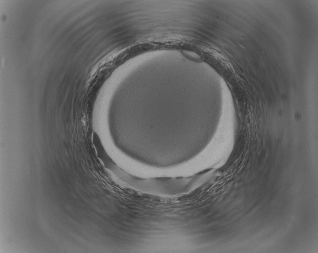 X0000068270920200605191824