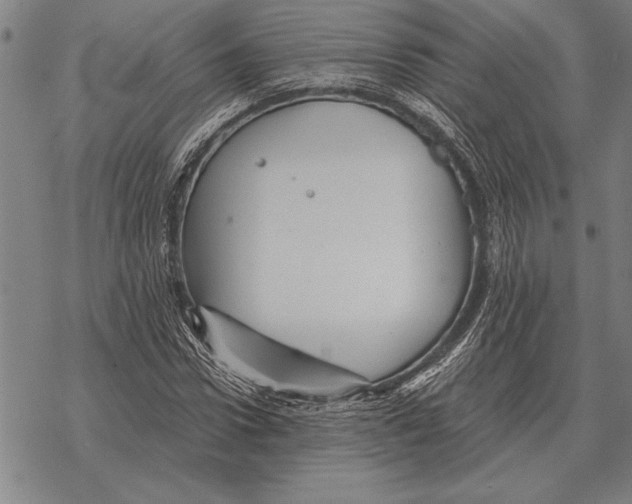 X0000068270922200605191824