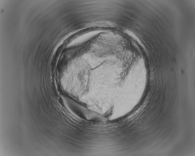 X0000068270923200605191824