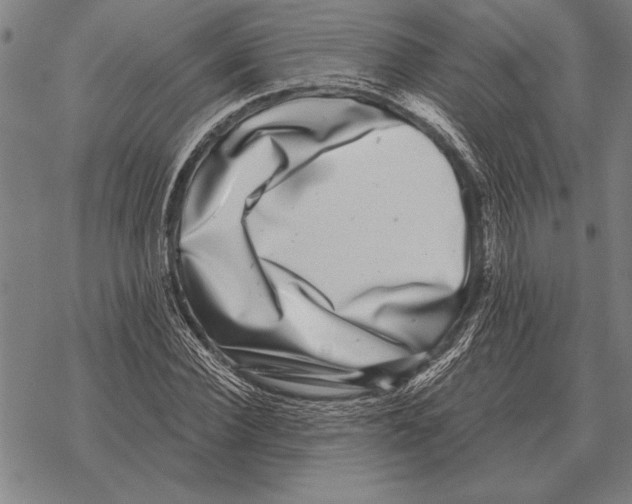 X0000068270924200605191824