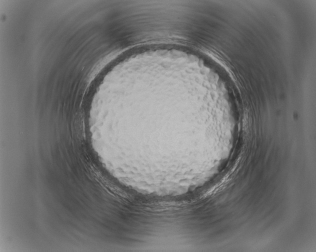 X0000068270925200605191824