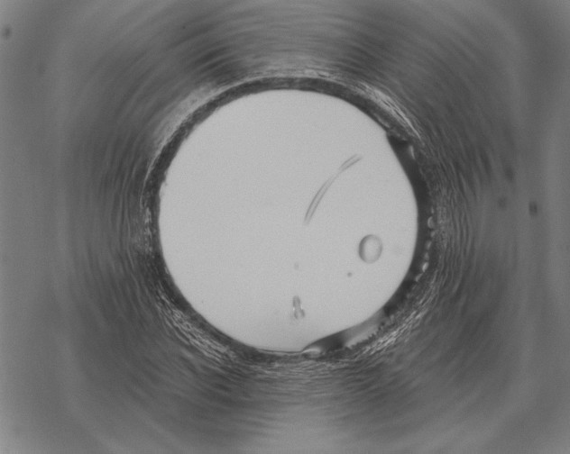 X0000068270926200605191824