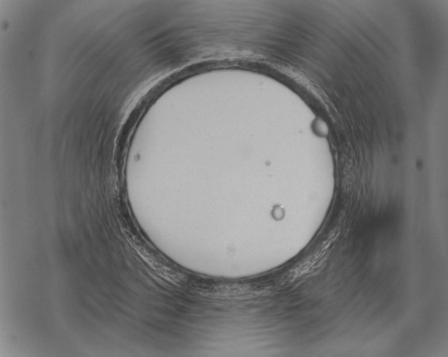 X0000068270927200605191824