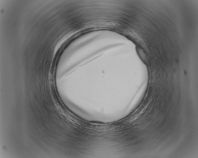 X0000068270928200605191824