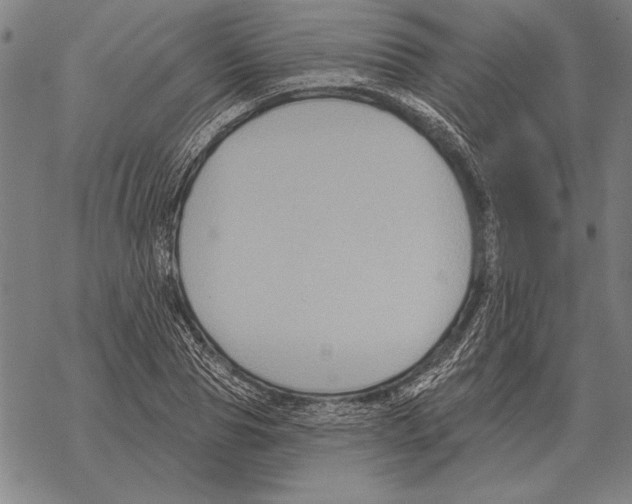 X0000068270929200605191824