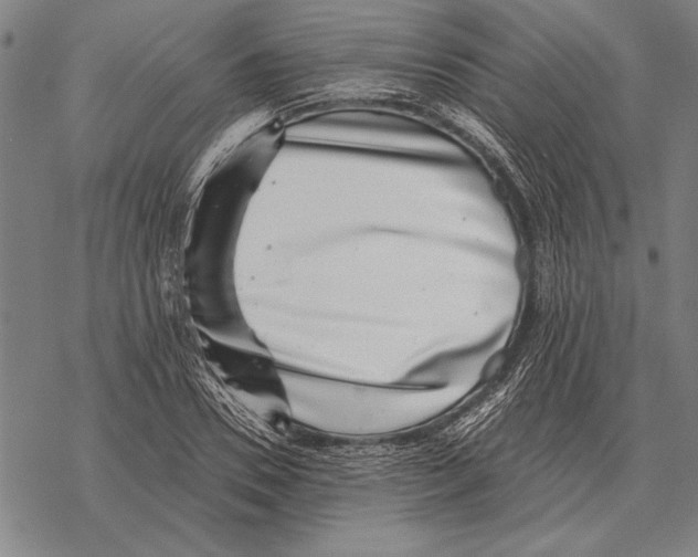 X0000068270930200605191824