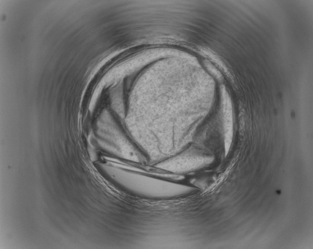 X0000068270932200605191824