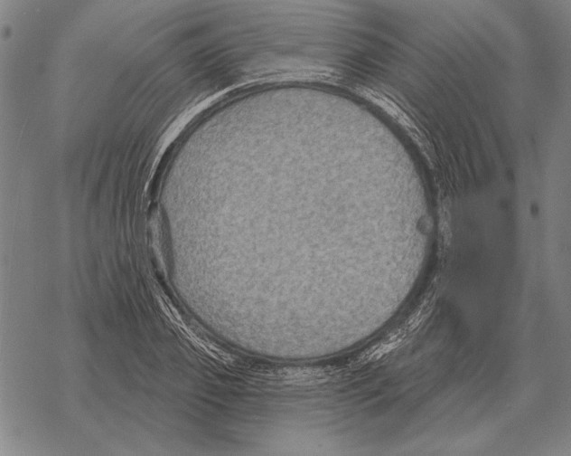 X0000068270933200605191824