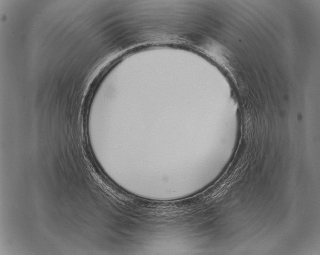 X0000068270935200605191824