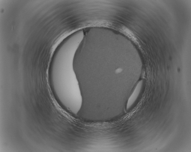 X0000068270936200605191824