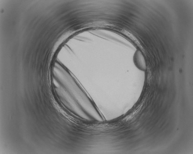 X0000068270939200605191824