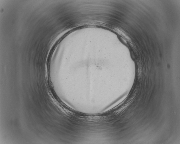 X0000068270940200605191824