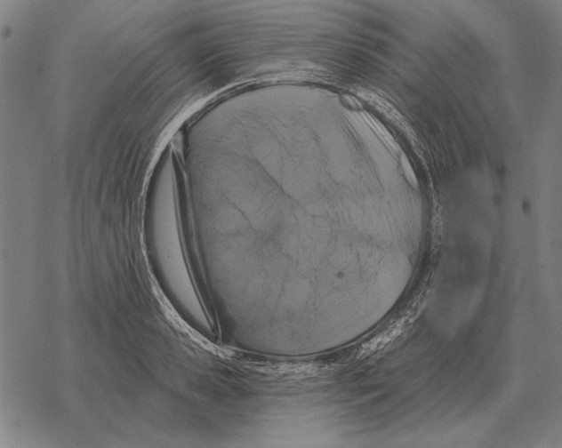 X0000068270941200605191824