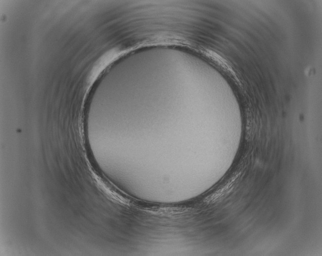 X0000068270942200605191824