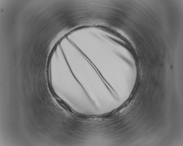 X0000068270943200605191824