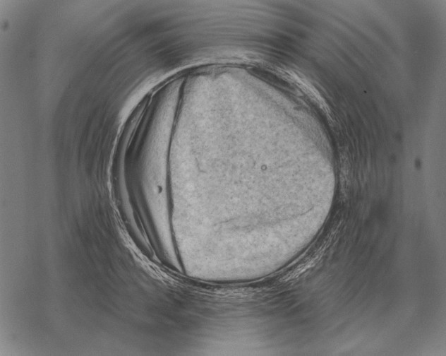 X0000068270944200605191824