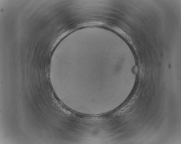 X0000068270945200605191824