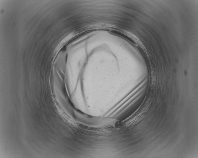 X0000068270946200605191824