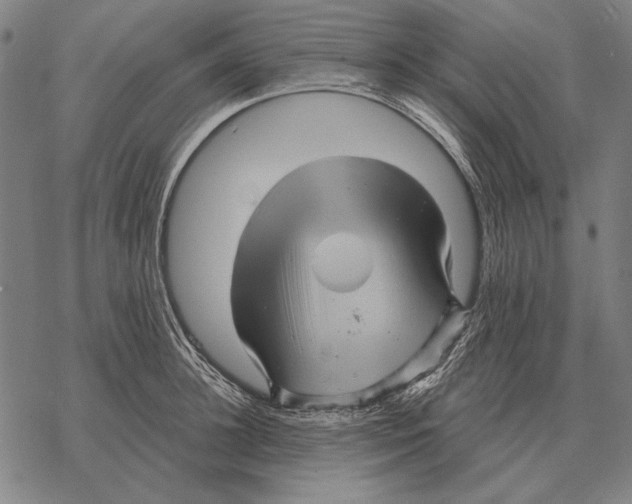 X0000068270948200605191824