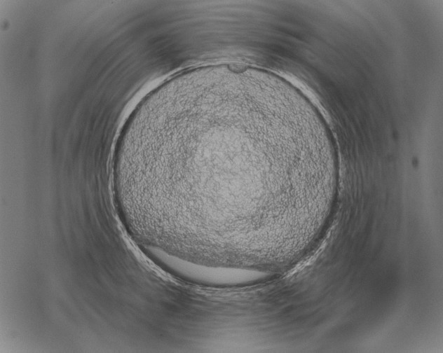 X0000068270949200605191824