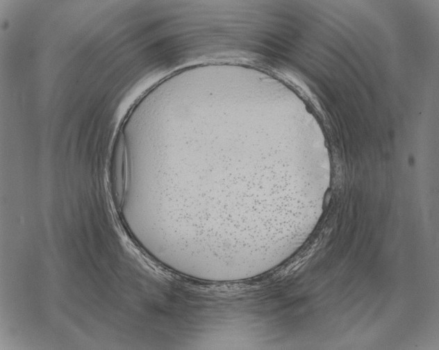 X0000068270952200605191824