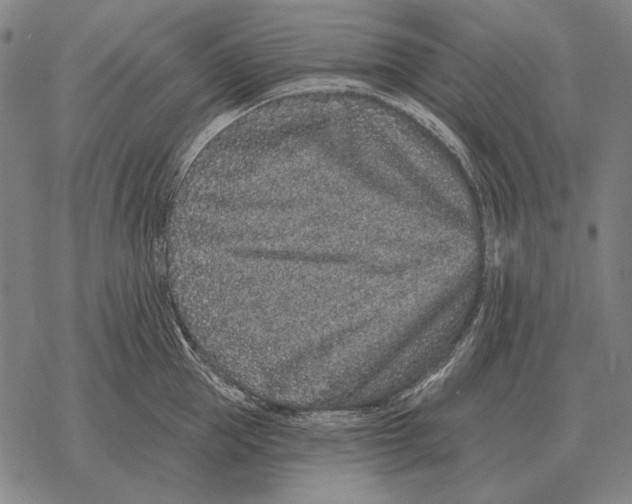 X0000068270953200605191824