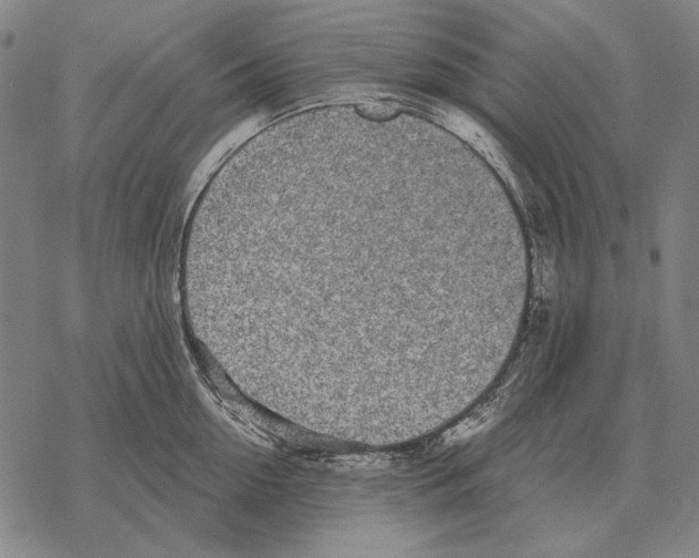 X0000068270954200605191824