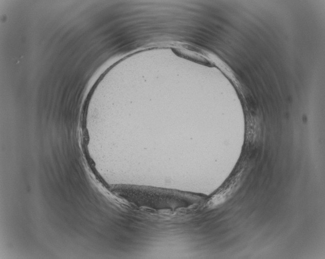 X0000068270955200605191824