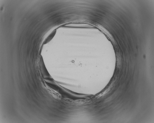 X0000068270956200605191825