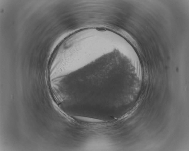 X0000068270958200605191825