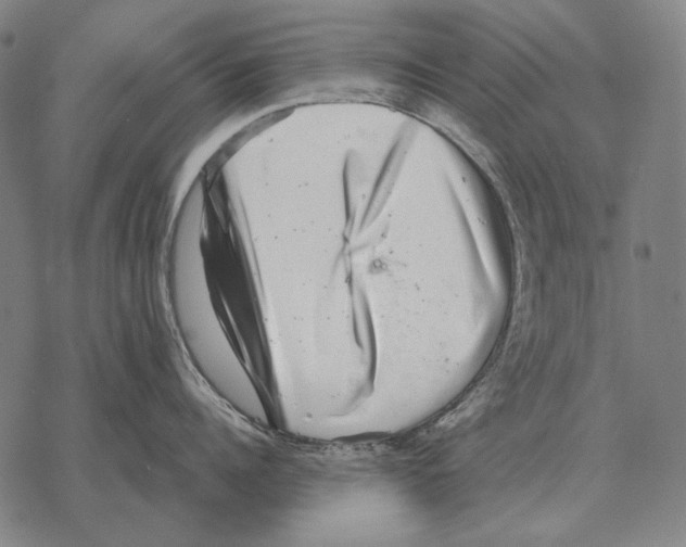 X0000068270960200605191825