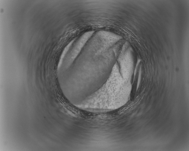 X0000068270961200605191824