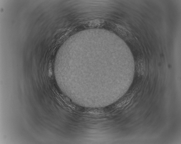 X0000068270962200605191824