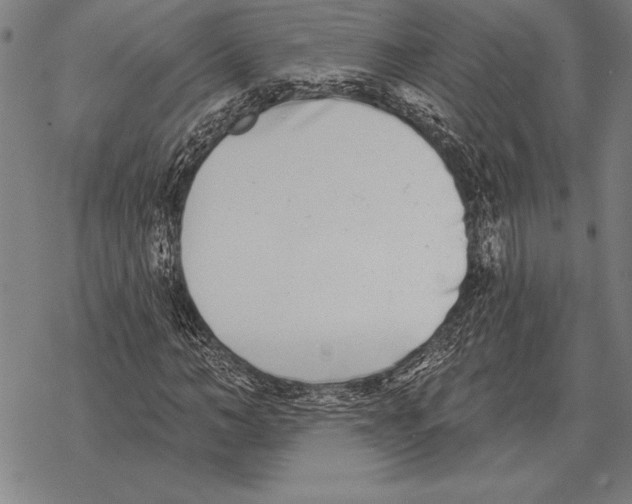 X0000068270966200605191824