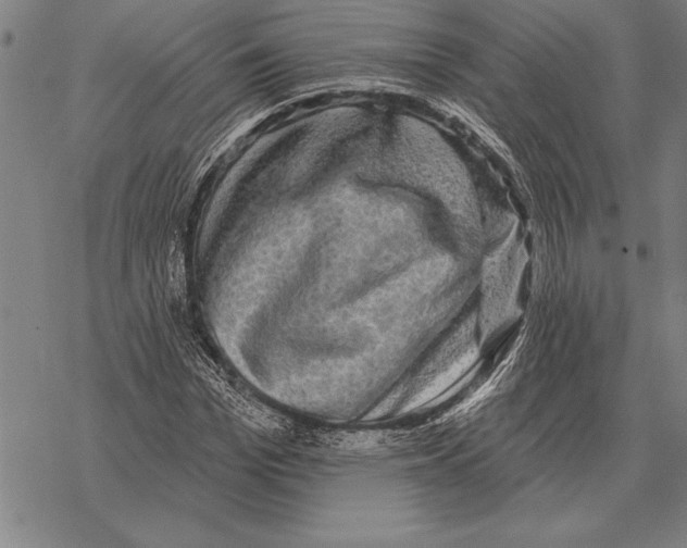 X0000068270969200605191824