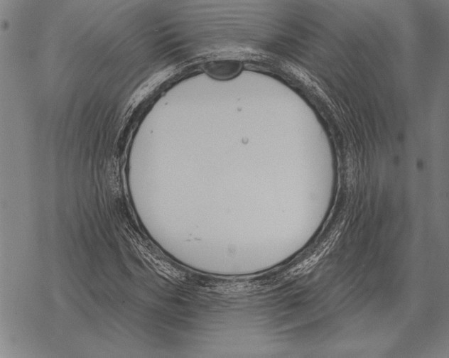 X0000068270970200605191824