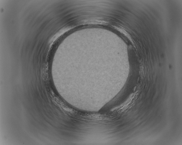 X0000068270971200605191824