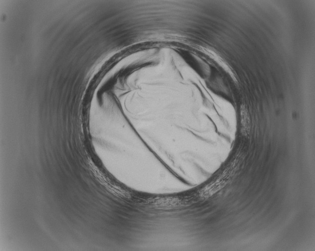 X0000068270972200605191824