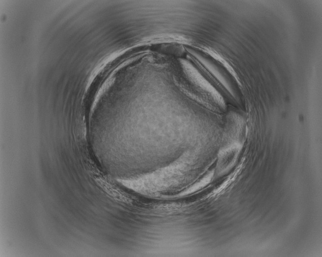 X0000068270973200605191824