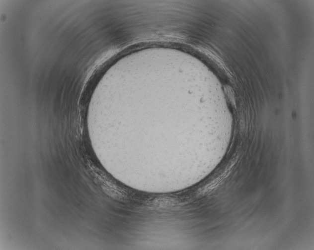 X0000068270974200605191824