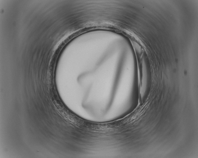 X0000068270975200605191824