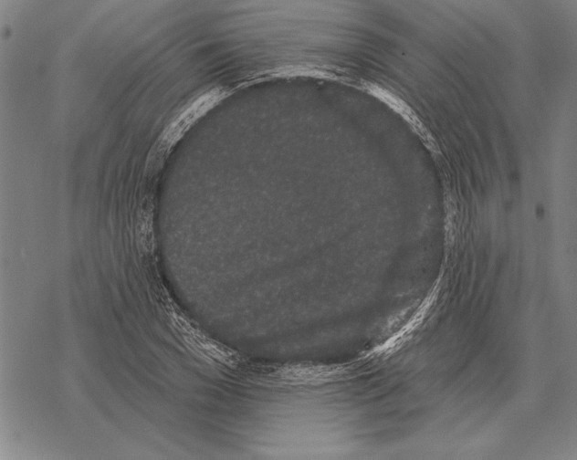 X0000068270977200605191824