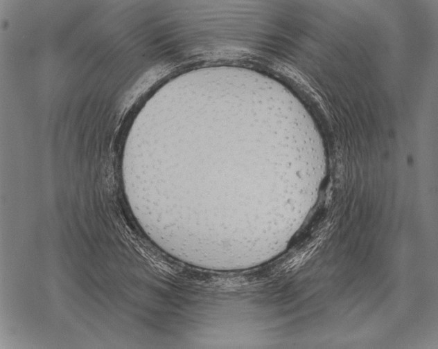 X0000068270978200605191824