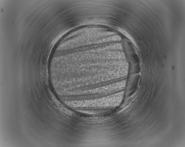 X0000068270980200605191823