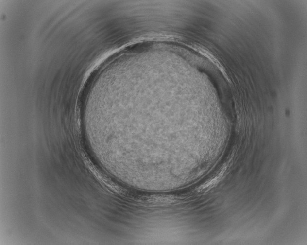 X0000068270981200605191823