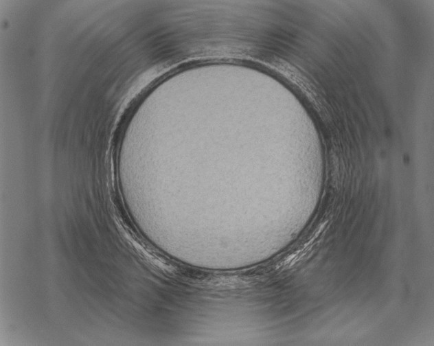 X0000068270982200605191823