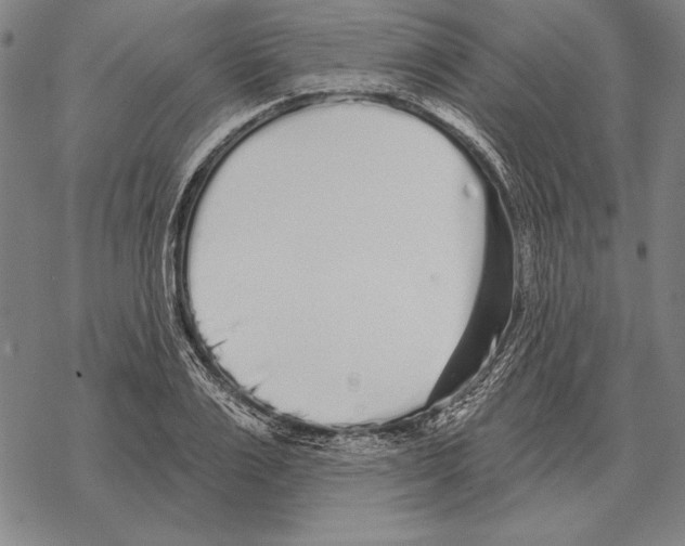 X0000068270983200605191823